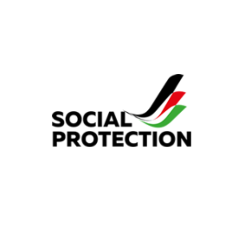 Kenya Social Economic Inclusion Project (KSEIP)